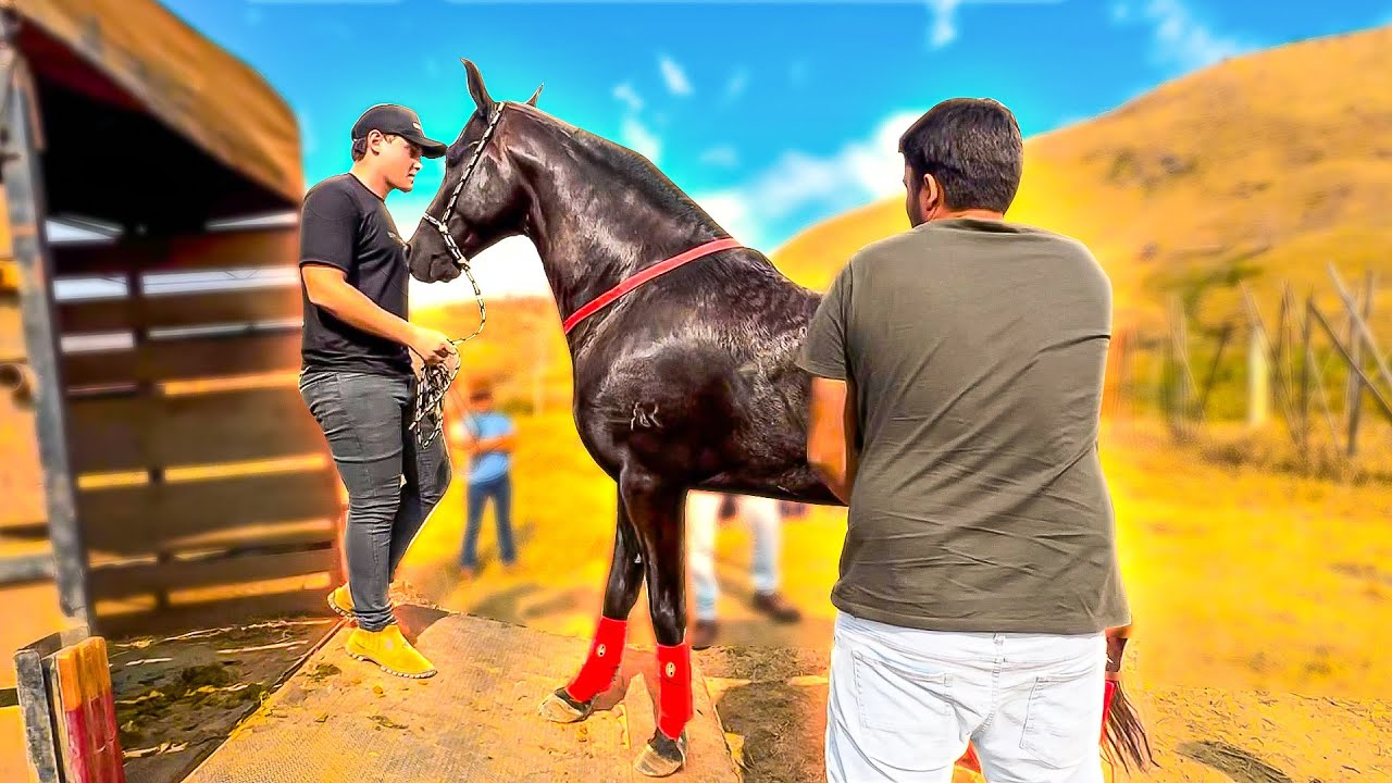 PREPARANDO Pra COPA de MARCHA