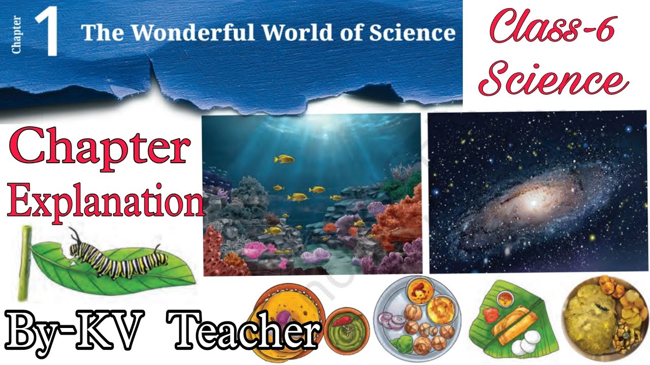 The Wonderful World of Science / Class-6 Science New NCERT Curiosity Chapter-1 Explanation