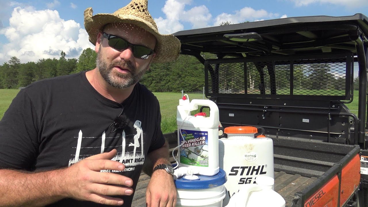 All Natural organic weed killer