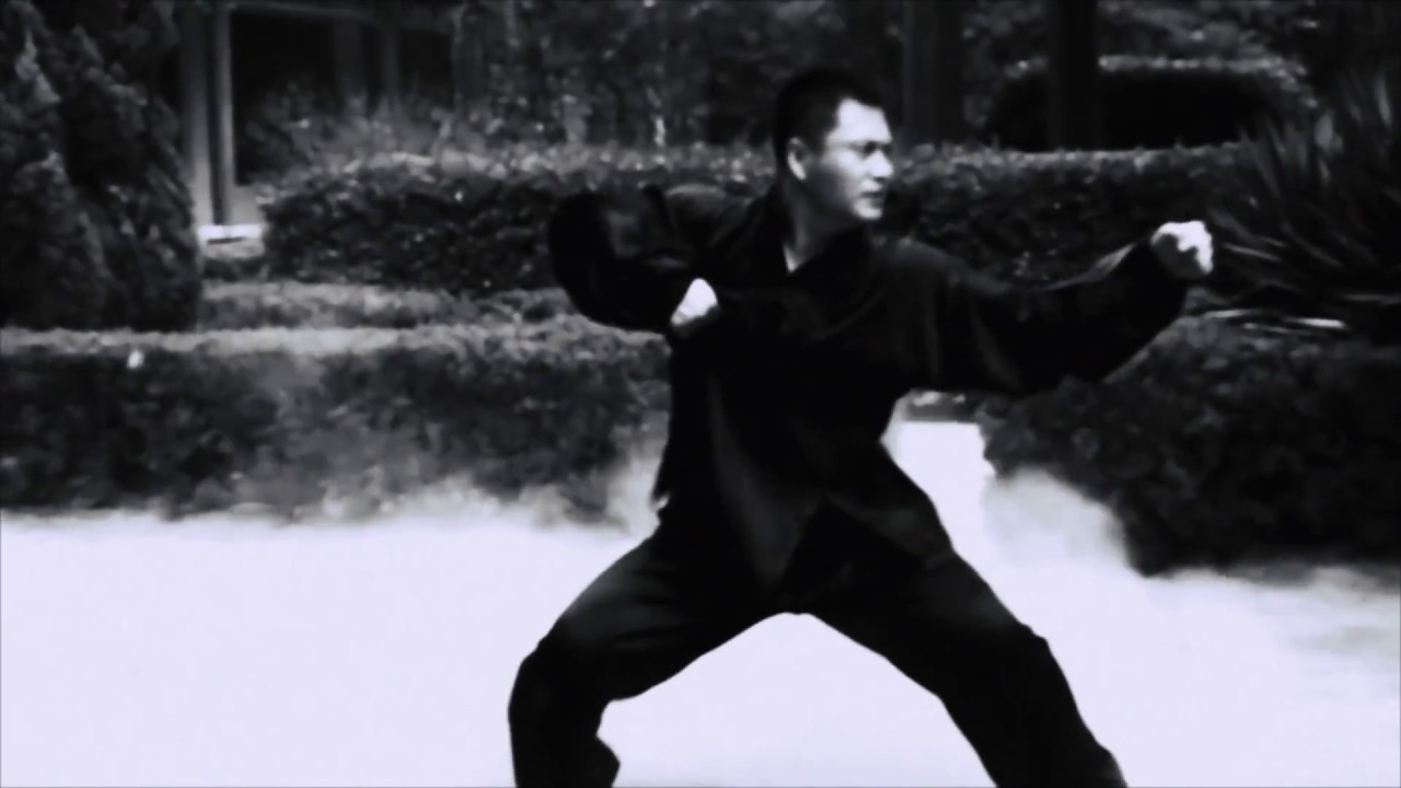 RZA - Flying Birds (Baji Quan edit)