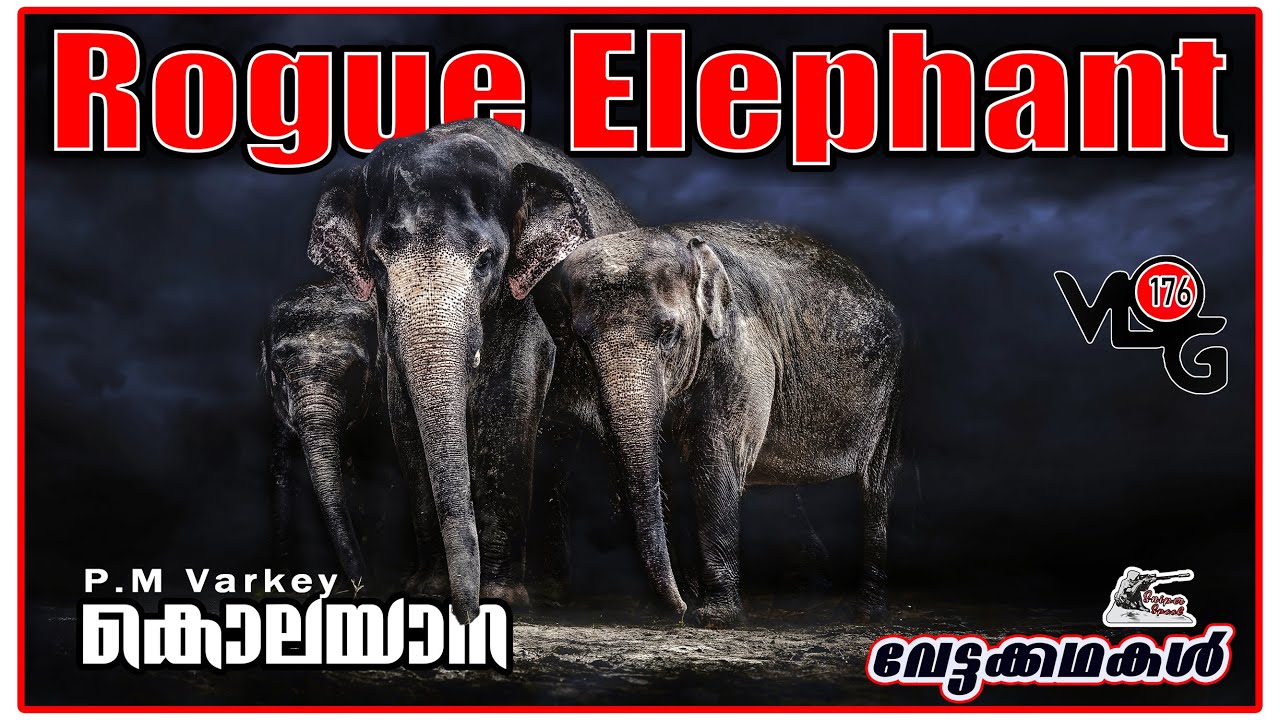 ഹുണ്ടന്നൂരിലെ കൊലയാന | Rough Elephant | P.M Varkey |  Hunting Story Malayalam | Sniper spool