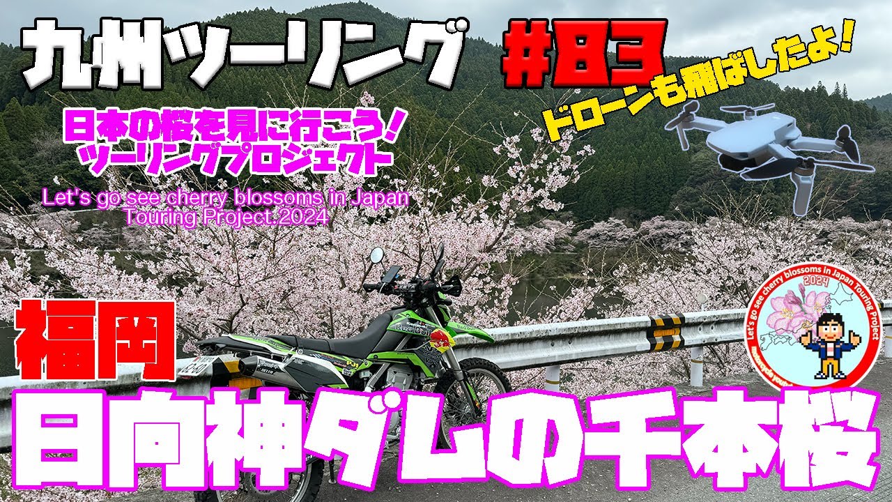 九州ツーリング #83　福岡県八女市黒木町 日向神ダムの千本桜を見に行ったよ！日本の桜を見に行こう！ツーリングプロジェクト2024｜KAWASAKI KLX250
