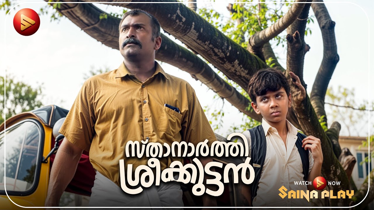 കാര്യം അറിയാതെ ആരാടാ നിന്നെയൊക്കെ തല്ലിയത് | Sthanarthi Sreekuttan | Comedy Scenes