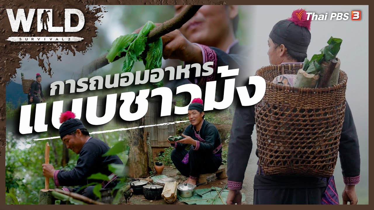 การถนอมอาหารแบบชาวม้ง | WILD SURVIVAL