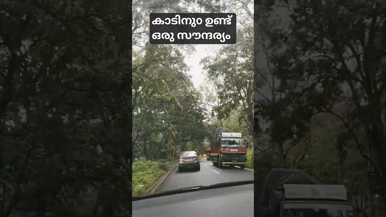 #കാട്ടിലൂടെ