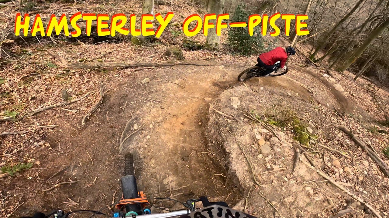 OFF-PISTE CHILLER || HAMSTERLEY FOREST