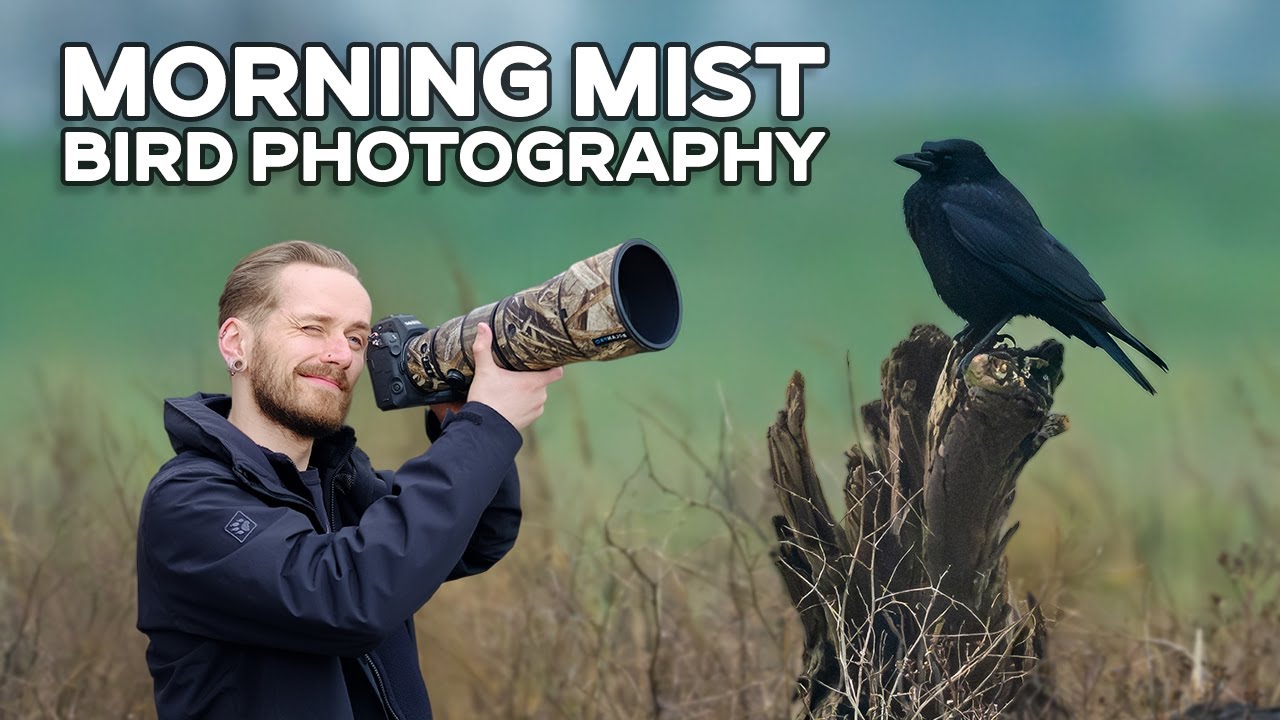 I'm Glad Not All Days Are Like This! - Bird Photography With The Nikon Z8