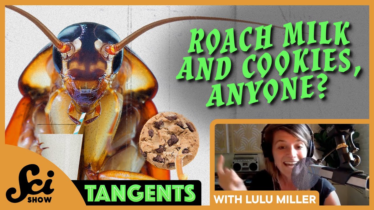 Creepy Crawlies with Lulu Miller - Trick or Treat Month | SciShow Tangents Podcast