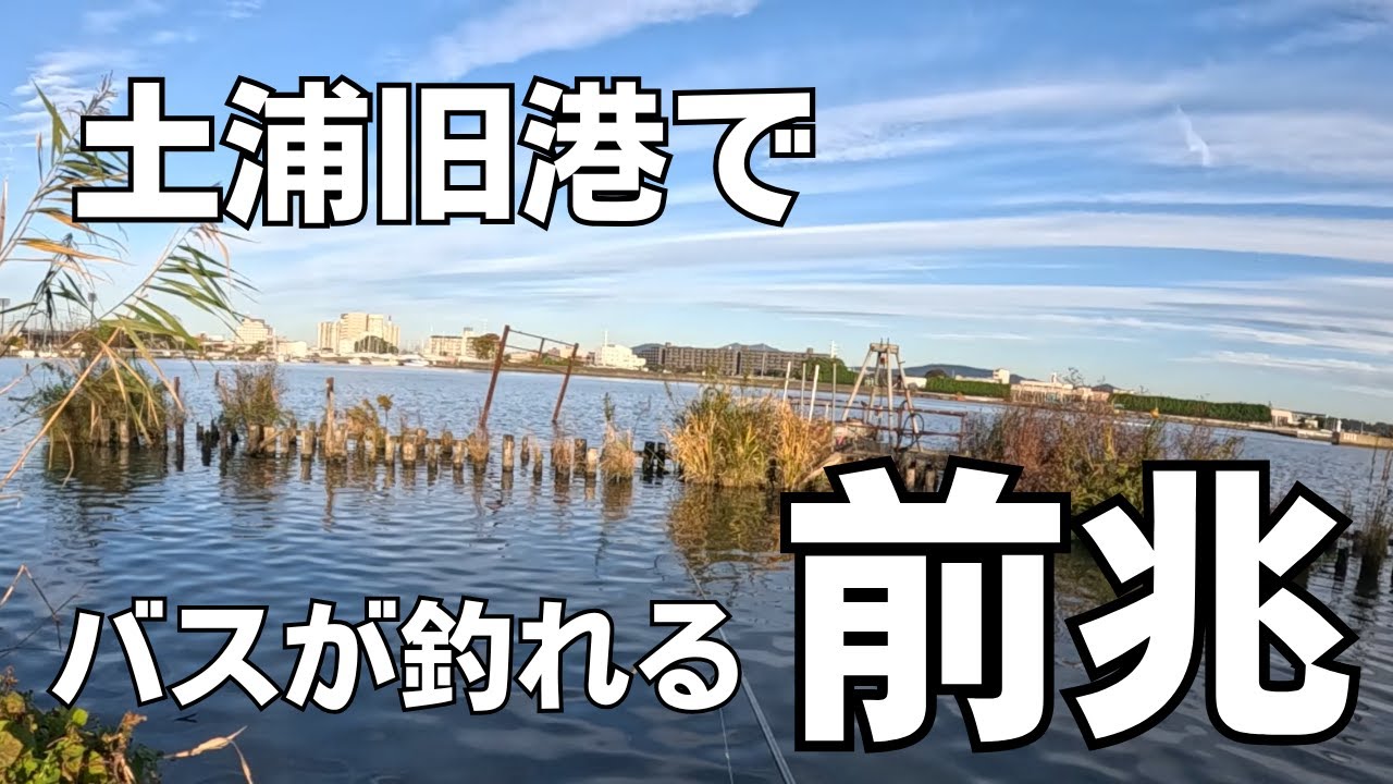 【霞ヶ浦　バス釣り】ここにベイトが溜まっていたらやっぱり釣れる