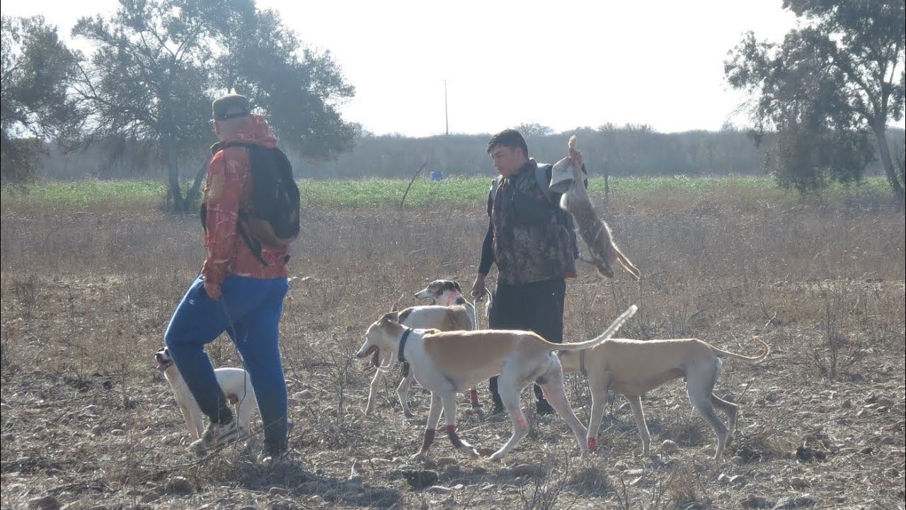@galgoscoquimbochile con el amigo @galgosaero ( solo para valiente el llano malo ) 🐇🐕🔥