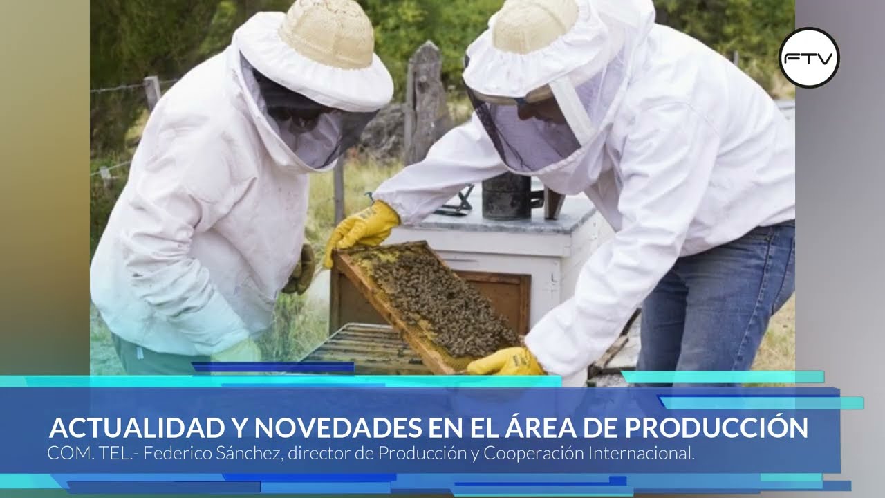 ACTUALIDAD Y NOVEDADES EN EL ÁREA DE PRODUCCIÓN 📢