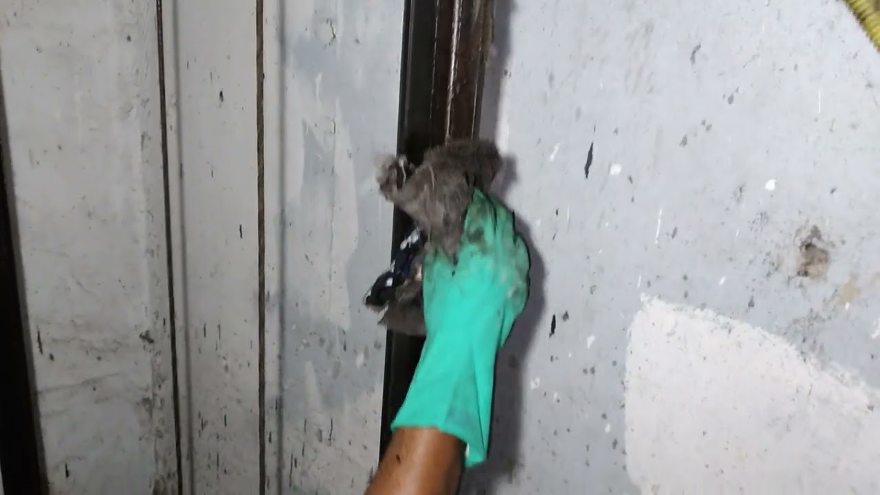 MANUTENÇÃO PREVENTIVA LIMPEZA DO FUNDO DO POÇO DO ELEVADOR