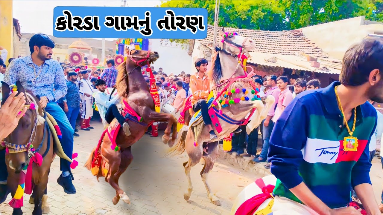 કોરડા ગામનું તોરણ|@ak_banna|TORAN|FULEKU|KATHIYWADI GHODA|HORSE POWER|HORSE LOVERS|GUJRAT HORSE|VLOG
