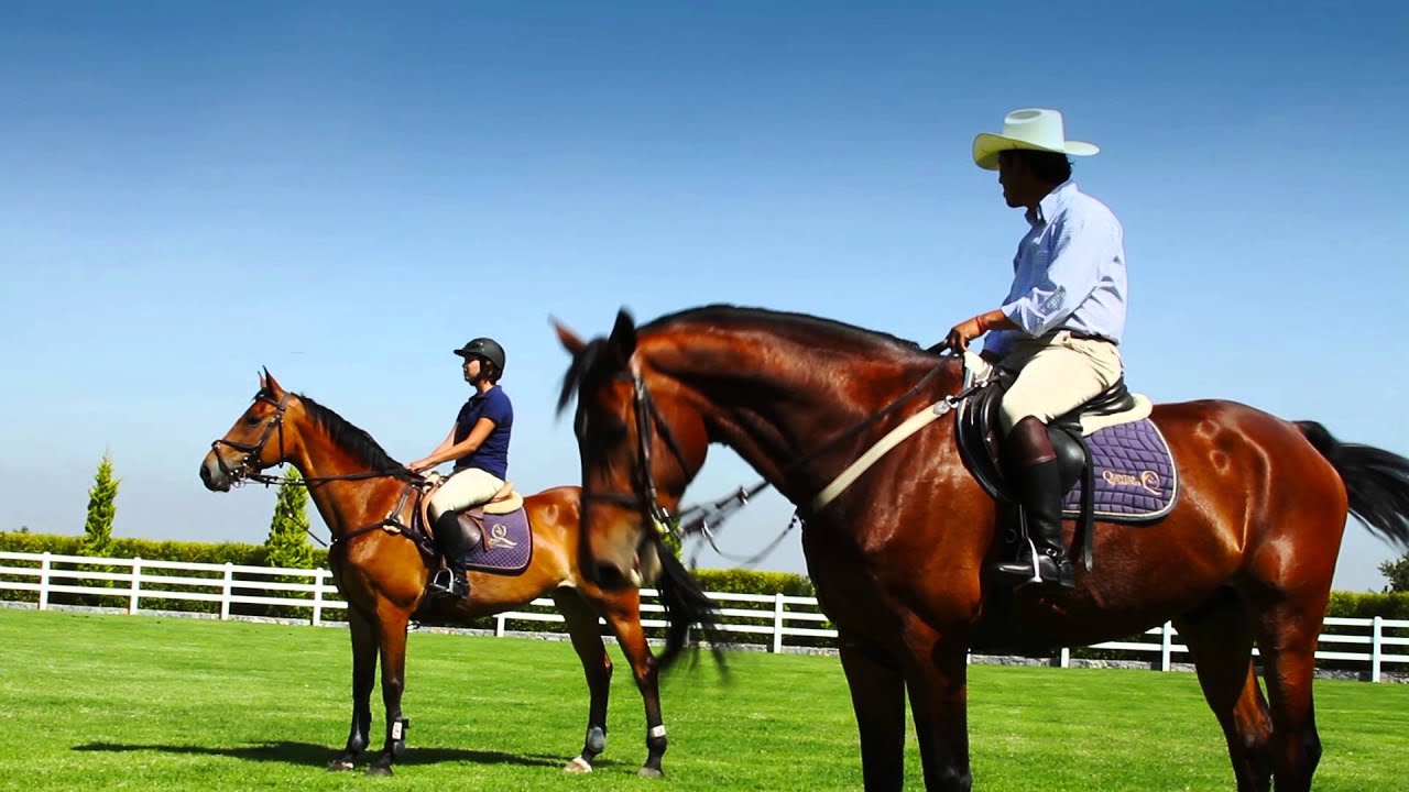 HARAS CIUDAD ECOLÓGICA