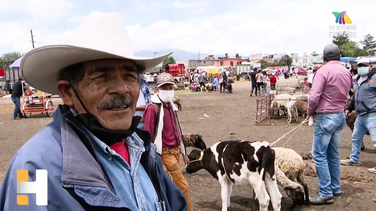 MERCADO DE ANIMALES  VIVOS.LLEVA SIGLOS EN EDOMEX Y ES UNA LOCURA VER REMATES DESDE CONEJO A VACA
