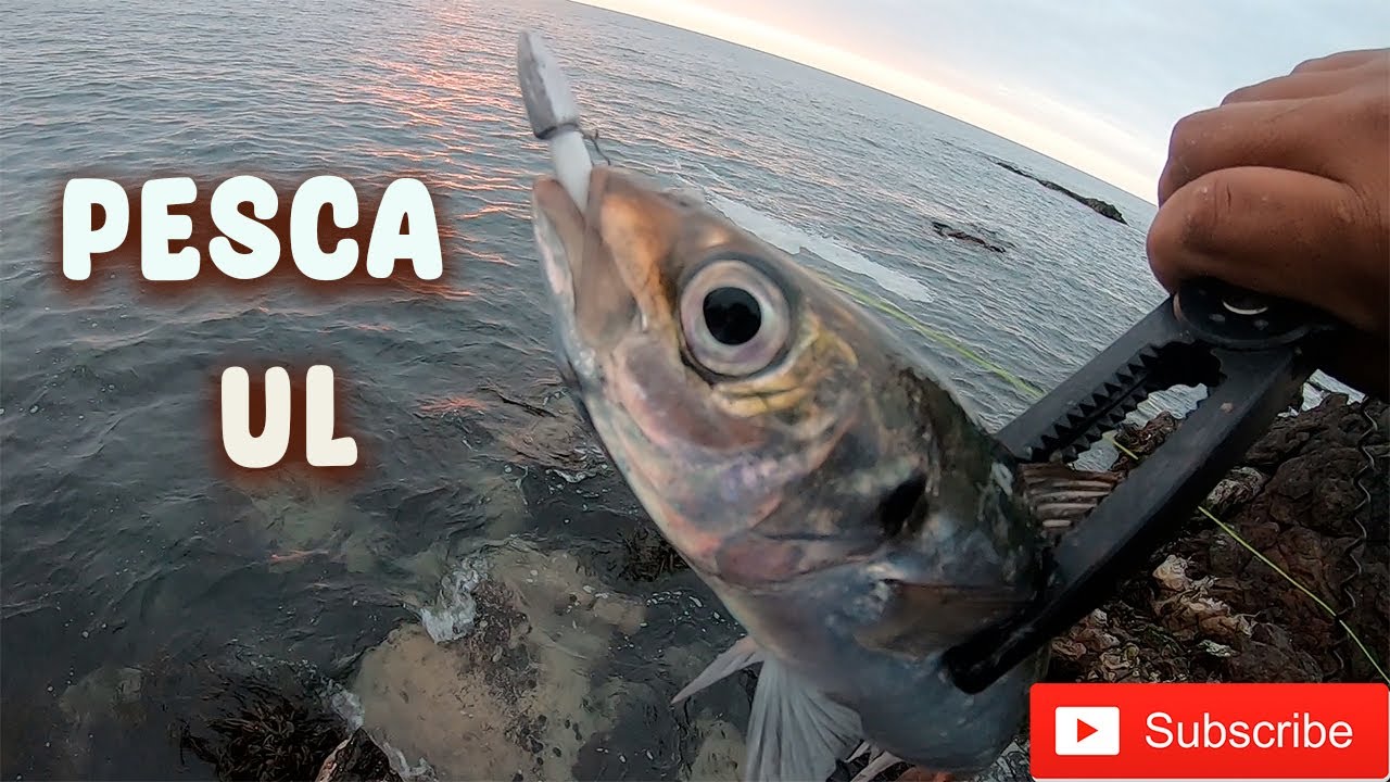 Pesca Ul - Iquique