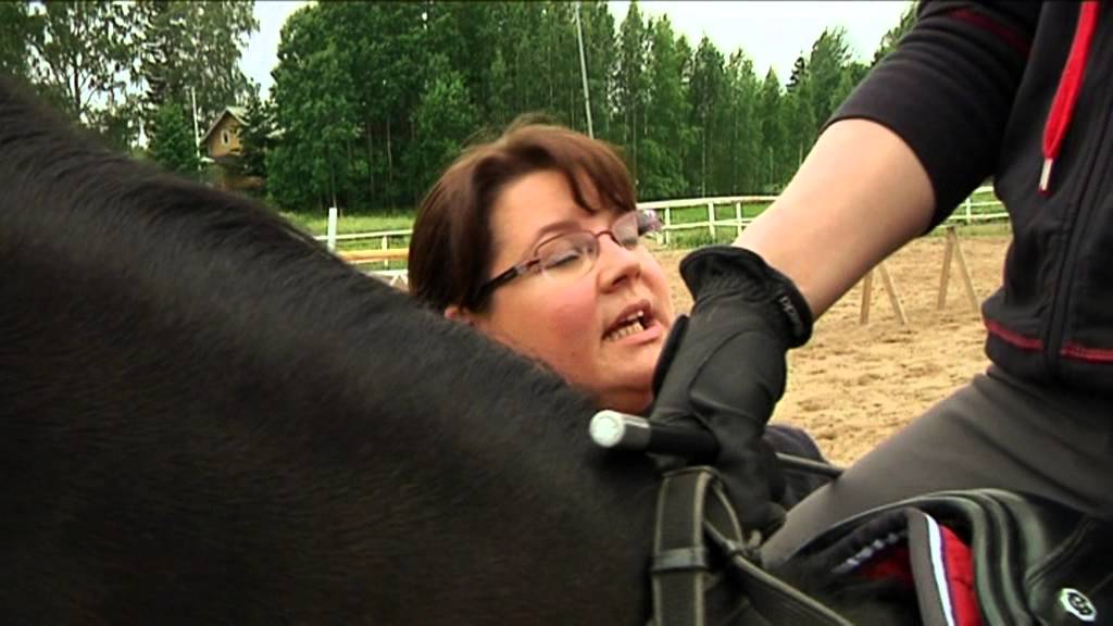 Ystäväni hevonen, osa 12: Syy istuu satulassa