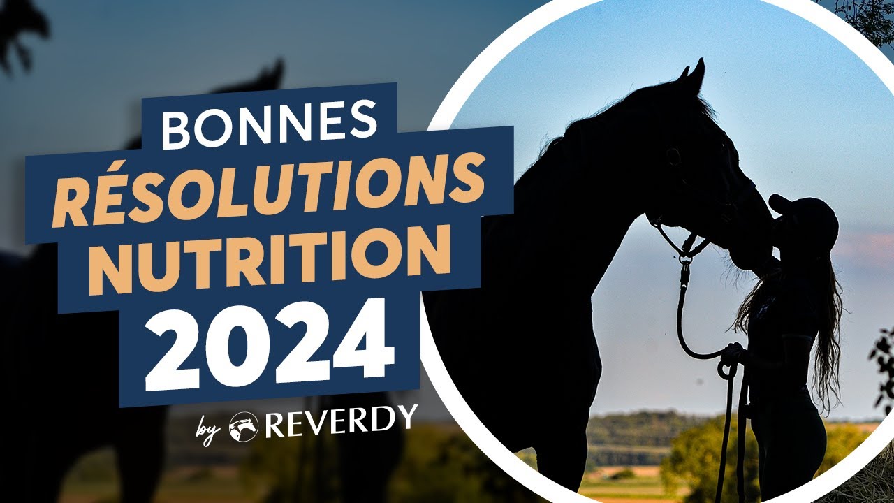 Les Bonnes Résolutions en nutrition pour mon cheval 🐴