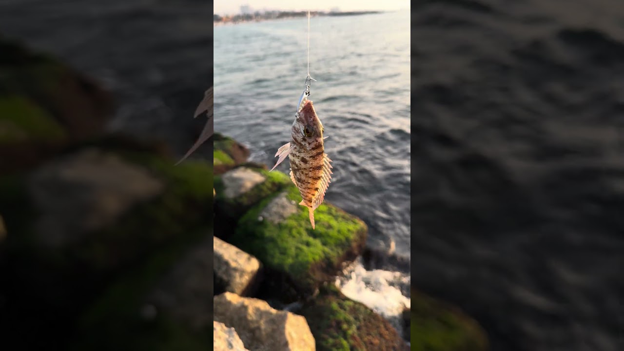3g Jig Rock Fishing