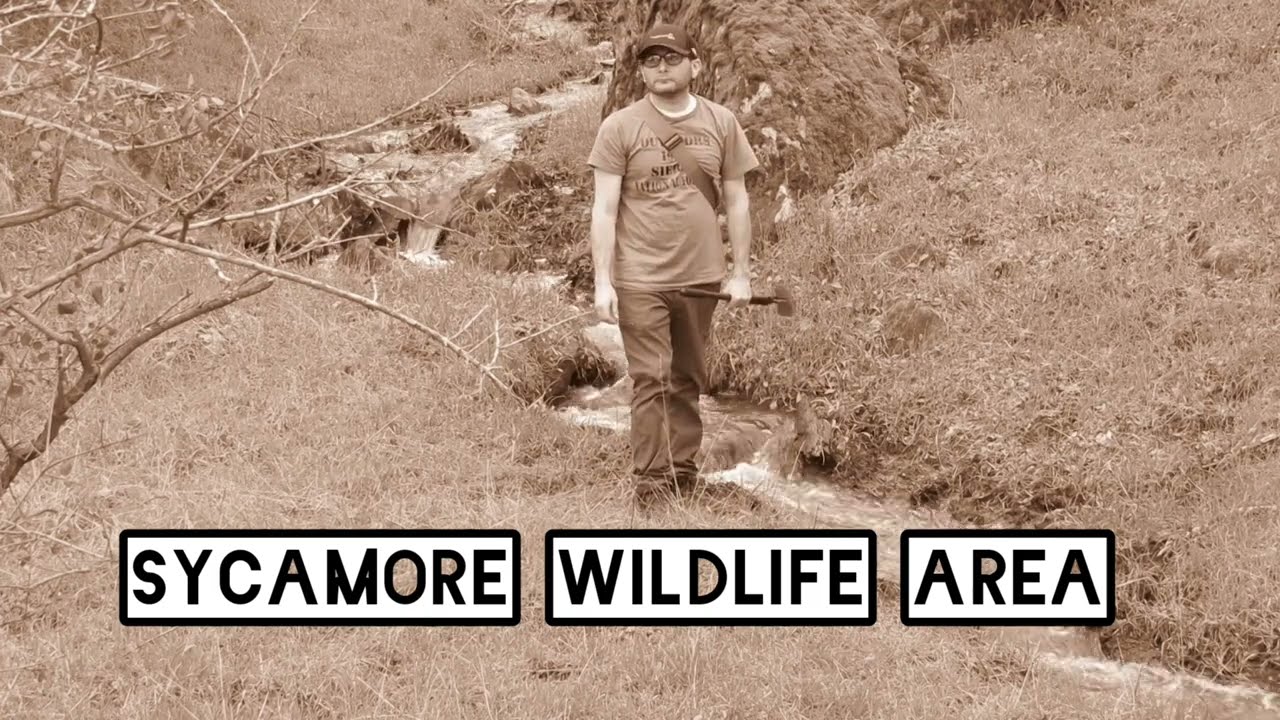 Sycamore Creek Wildlife Area & Pine Flat Dam: Exploring Nature's Beauty in Central California