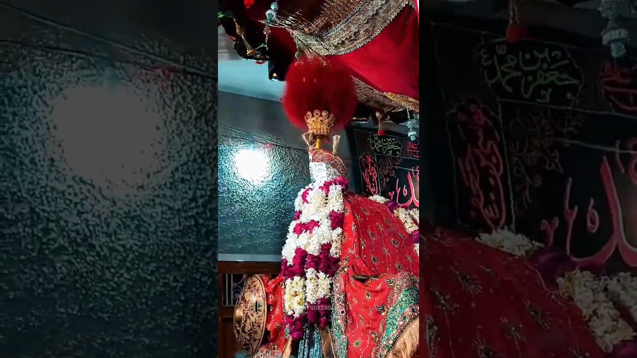6 Moharram 2025 Shikarpur #shortvideo #shortsviral #shikarpurazadari #shia #Azadari  #moharram