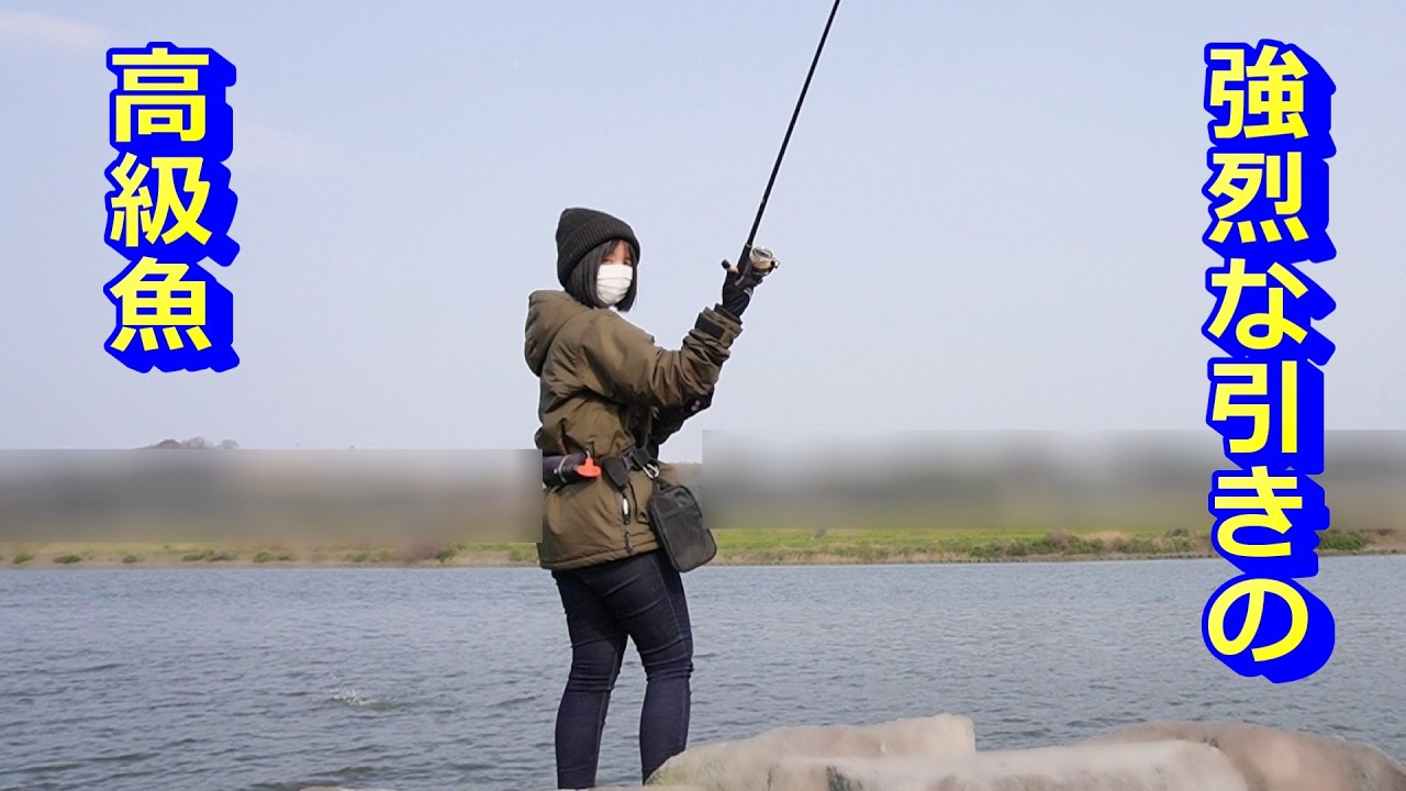 初魚種の力強い高級魚はとても美味しかった！