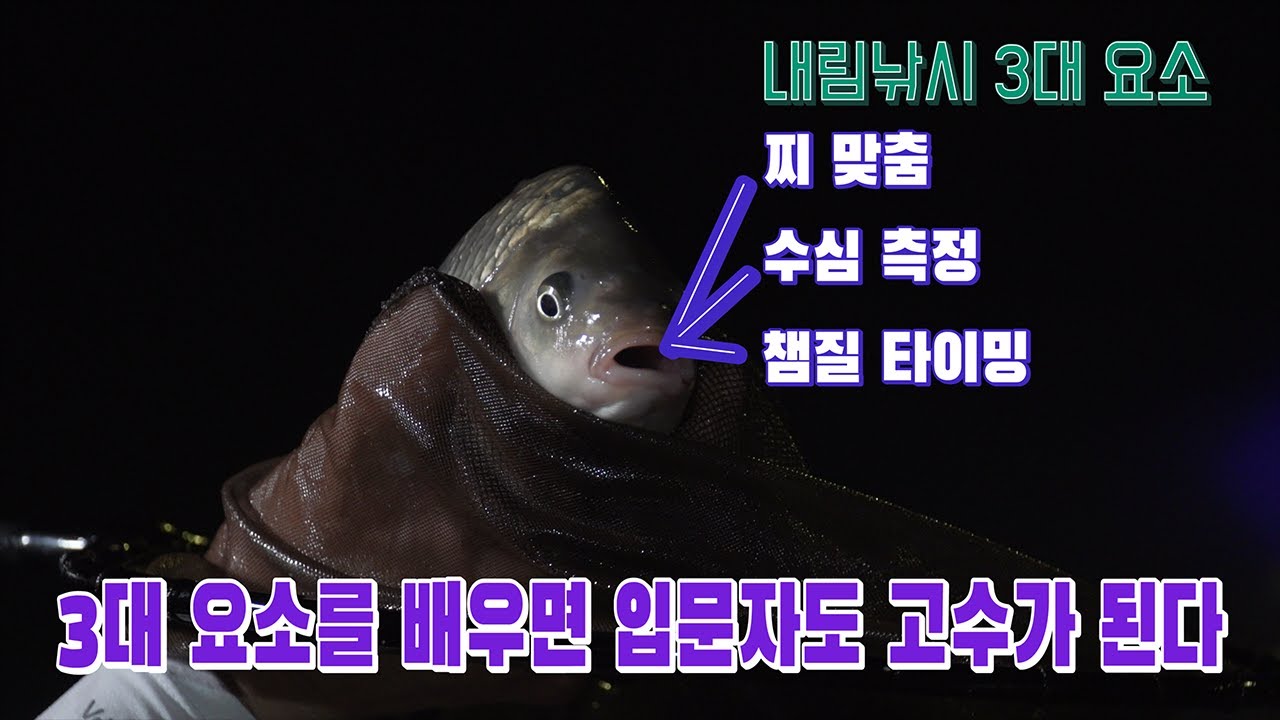 내림낚시 입문자를 위한 3대 요소