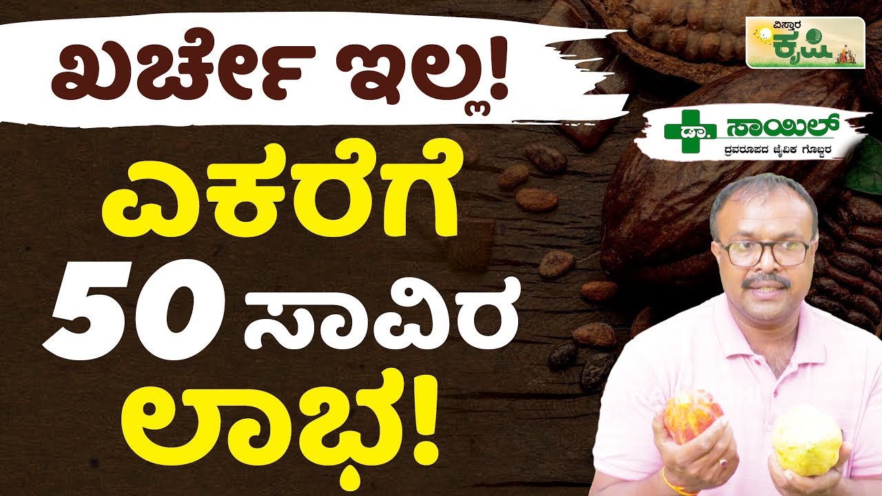 ಖರ್ಚೇ ಇಲ್ಲ! ಎಕರೆಗೆ 50 ಸಾವಿರ ಲಾಭ! | Cocoa Cultivation In Kannada | Vistara Krishi