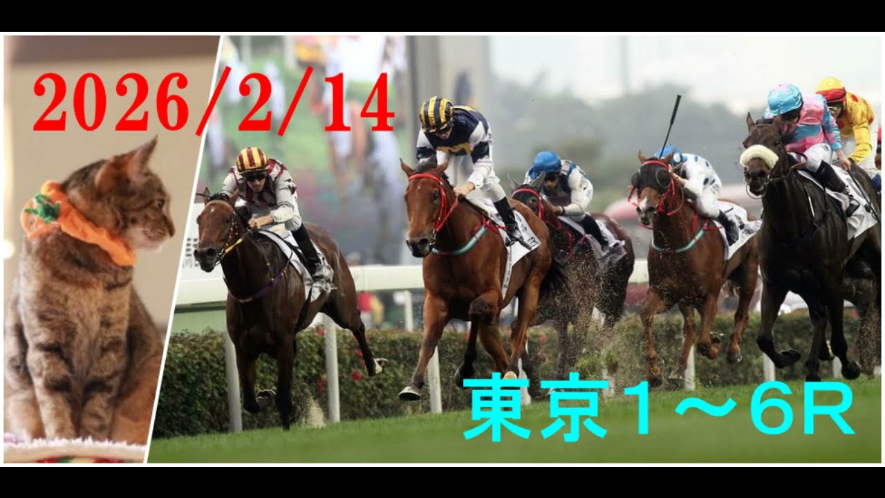 2026/2/14　東京１～６レース　枠順確定