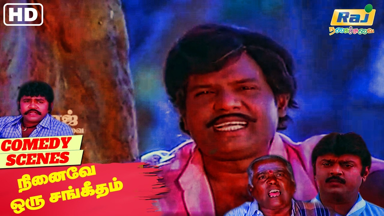 சினிமா ஸ்டார் மாதிரி இருப்பாயா? என் சரோஜா.! | Ninaive Oru Sangeetham Movie Comedy | Raj Nagaichuvai