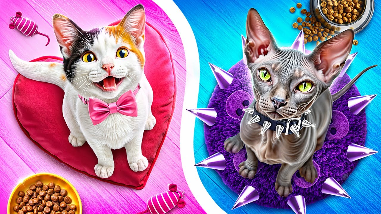 Хороший vs плохой кот! Мы построили домики для домашних животных