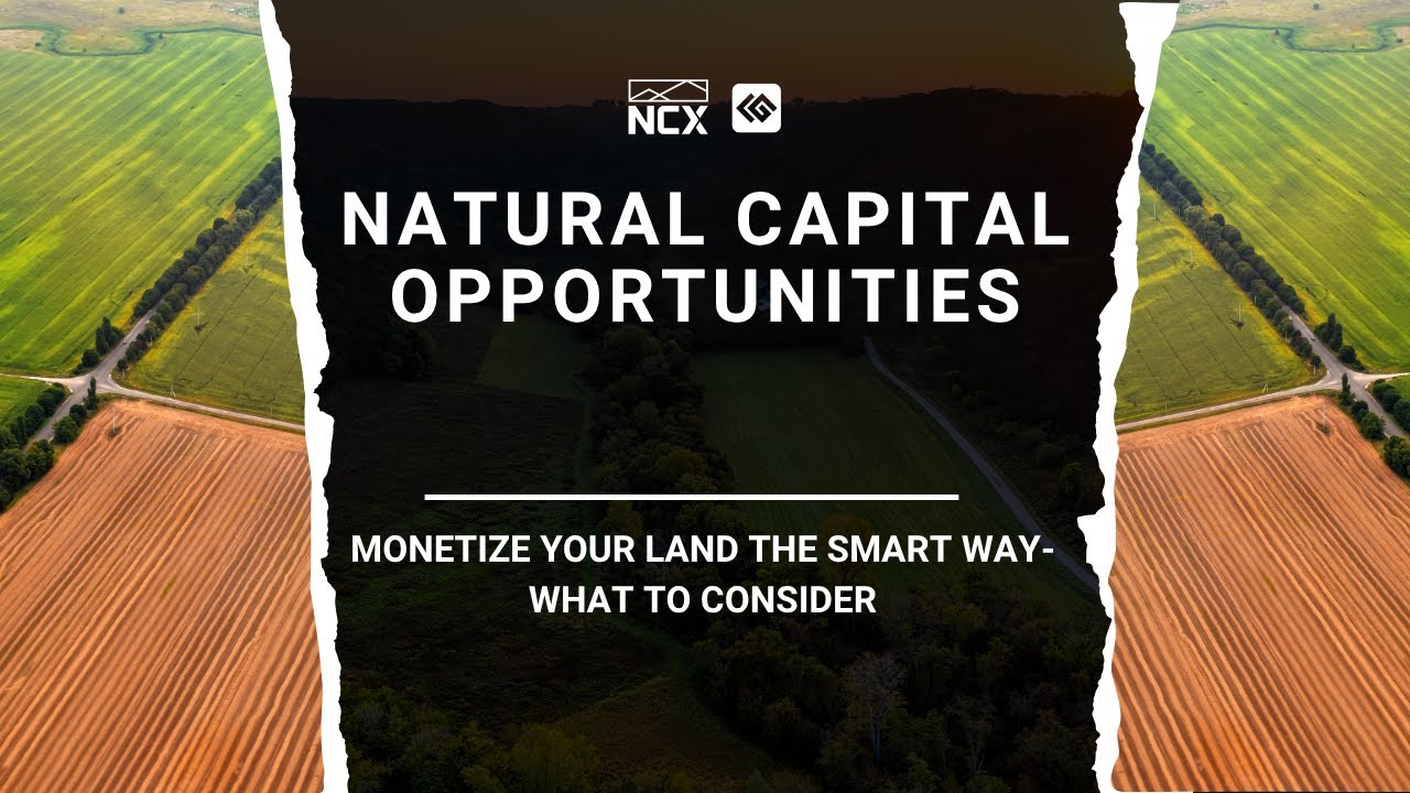 Monetize Your Land the Smart Way: Natural Capital Opportunities 💰