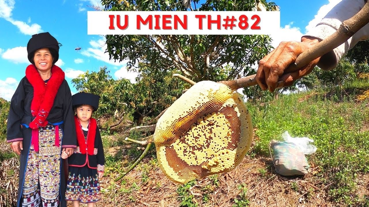 Iu Mien Thailand EP82 | Finding wild honey bees in Iu Mien farm