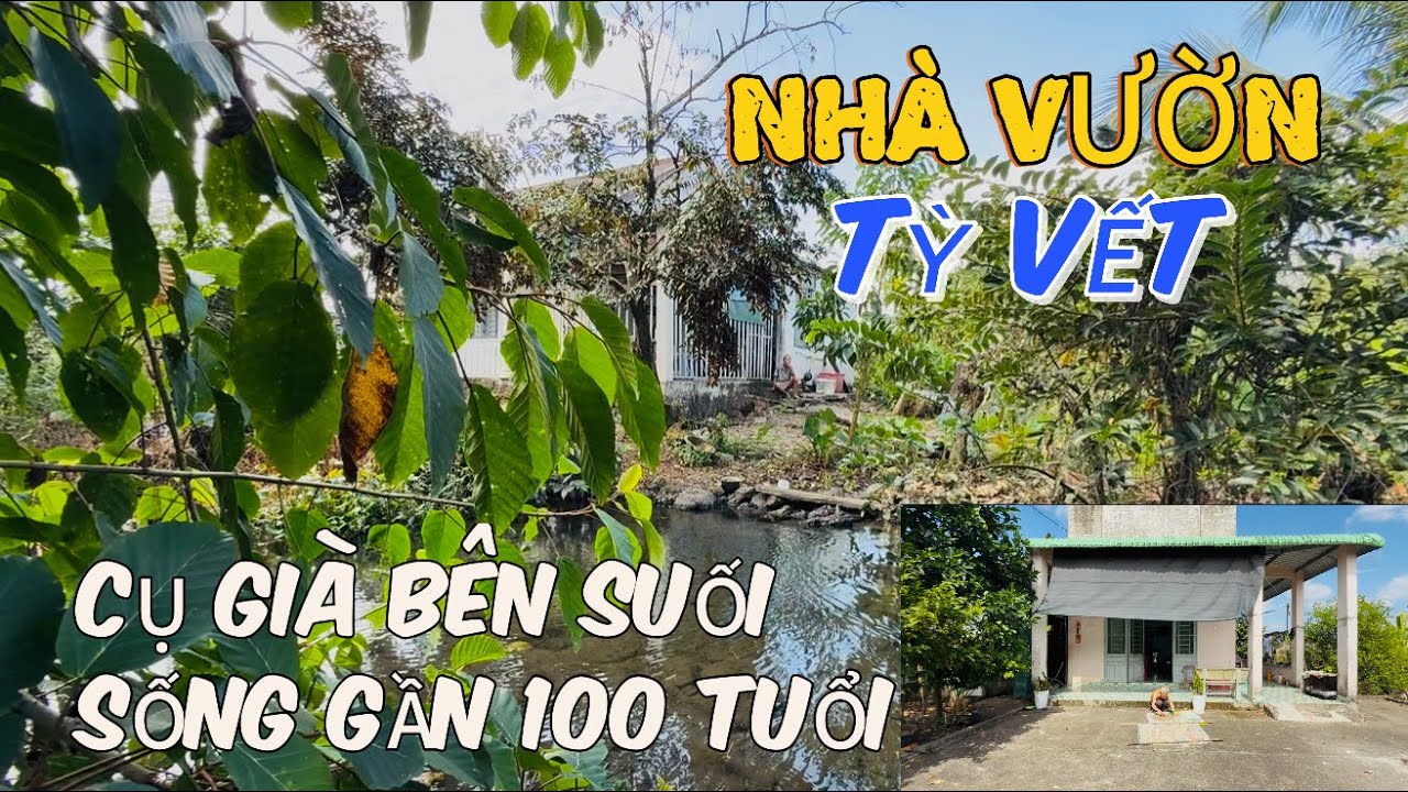 CỤ GIÀ NHEO MẮT NGỢI KHEN | NHÀ VƯỜN BÊN SUỐI MÁT MẺ, Ở ĐÂY DƯỠNG GIÀ SỐNG KHOẺ LÝ TƯỞNG