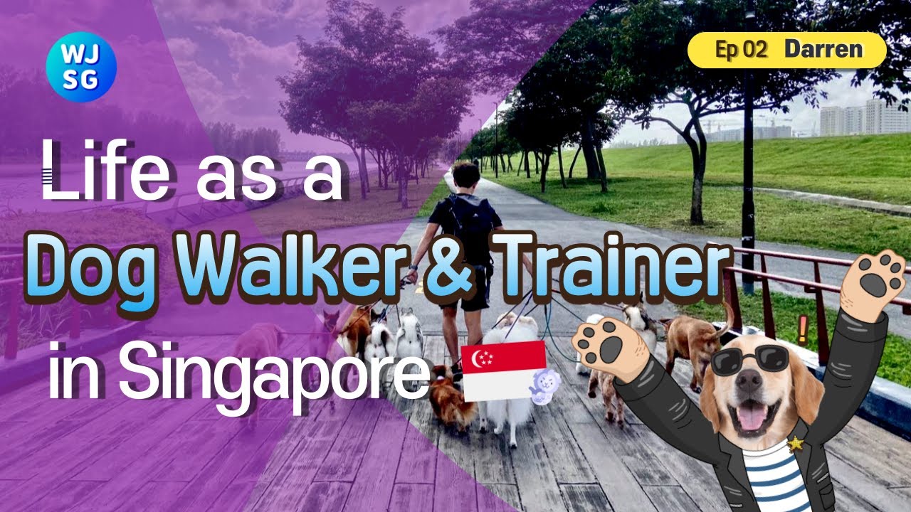 WJSG Ep 2: Life as a dog walker in Singapore