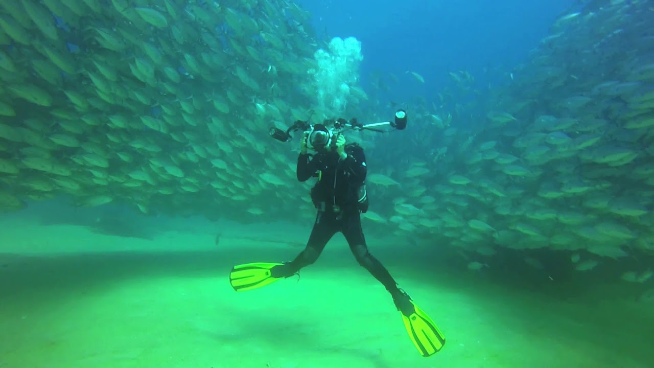 Cabo Pulmo Mexico 2018