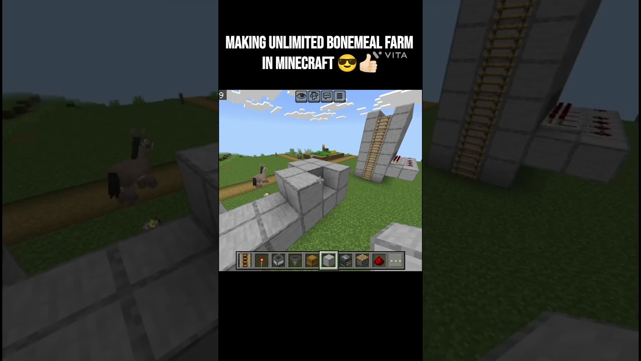 Making unlimited bonemeal farm in Minecraft 