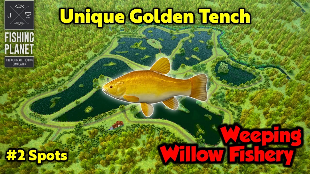 Unique Golden Tench Weeping Willow Fishery - Fishing Planet
