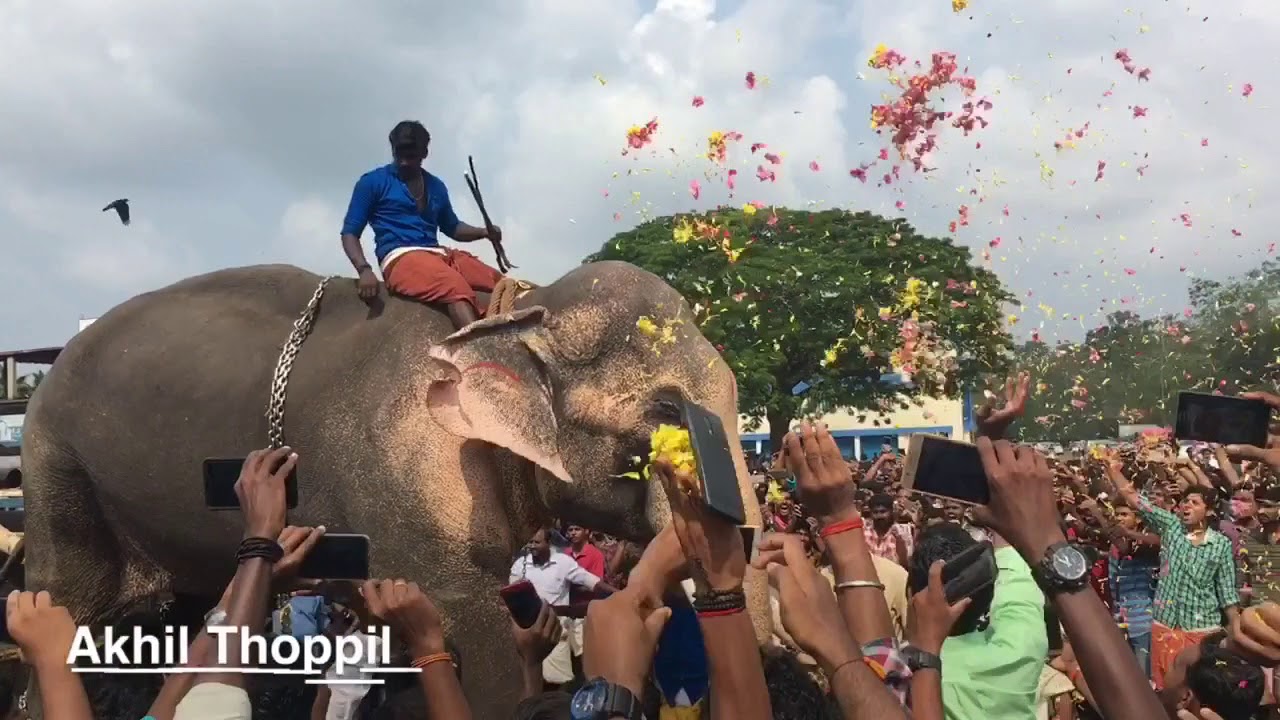 Thechikottukavu Ramachandranന് ഓച്ചിറ പരബ്രഹ്മ ക്ഷേത്രത്തിൽ നൽകിയ ഗംഭീര സ്വീകരണം