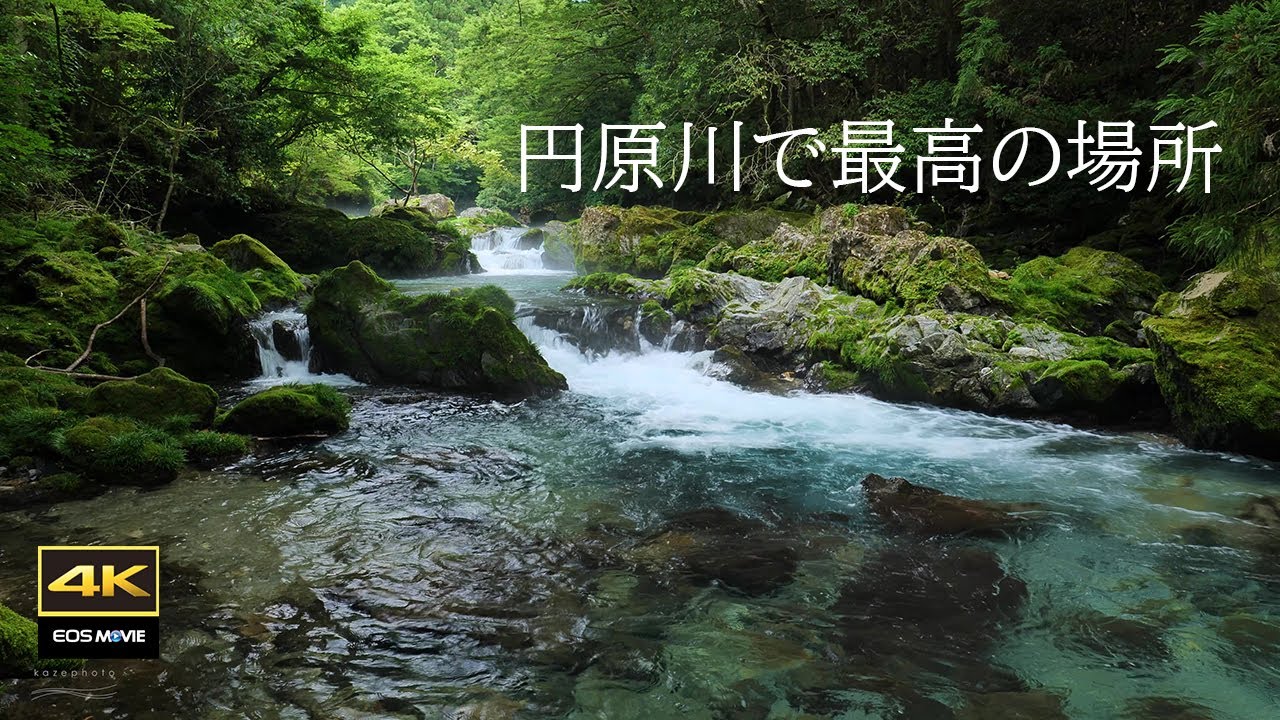 4K映像∔自然の音   円原川 / この夏最高に涼しく過ごせる癒しポイント / 冷水と川霧でリラックス