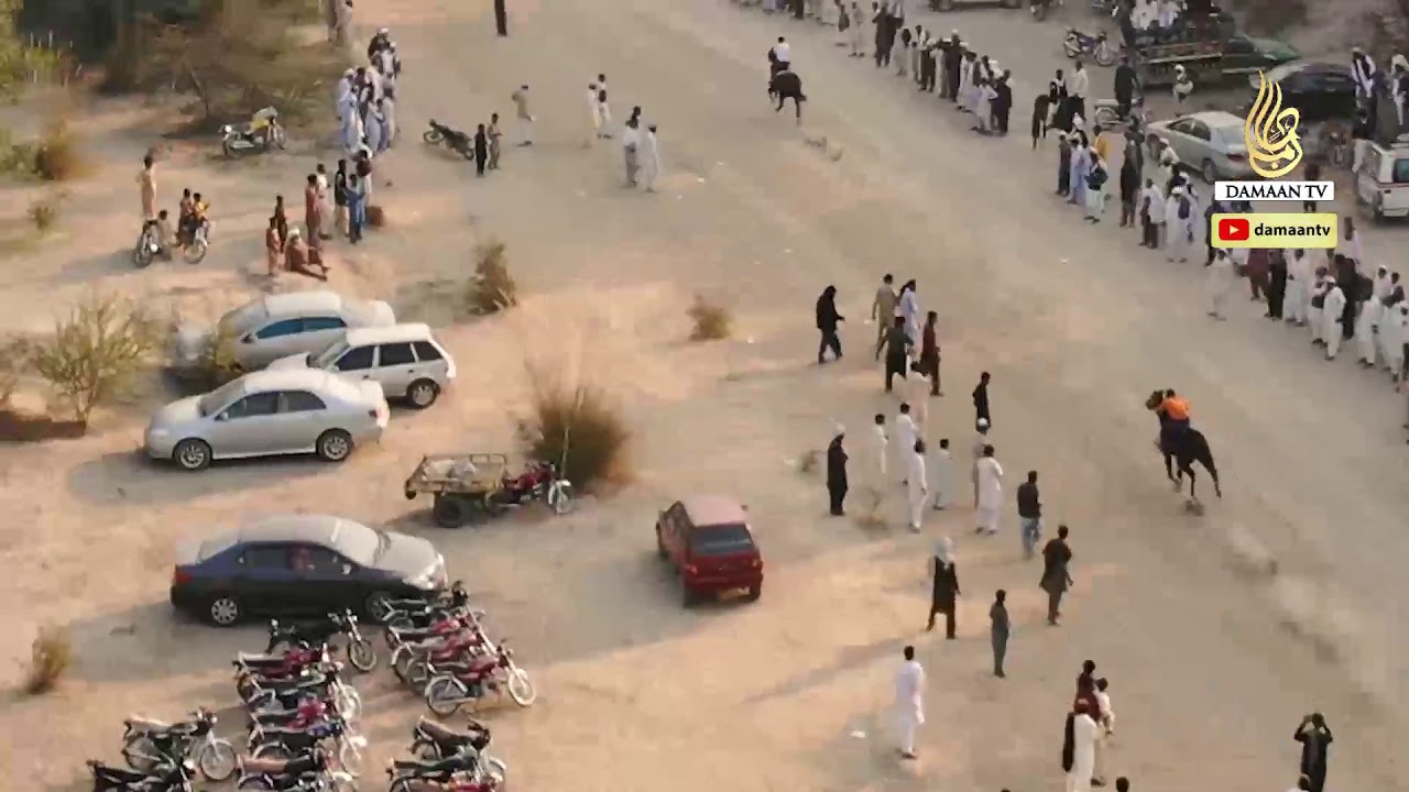 First Race Of Horse Wisdom Against Horse Vigo In Dhap chabak dera Ismail Khan