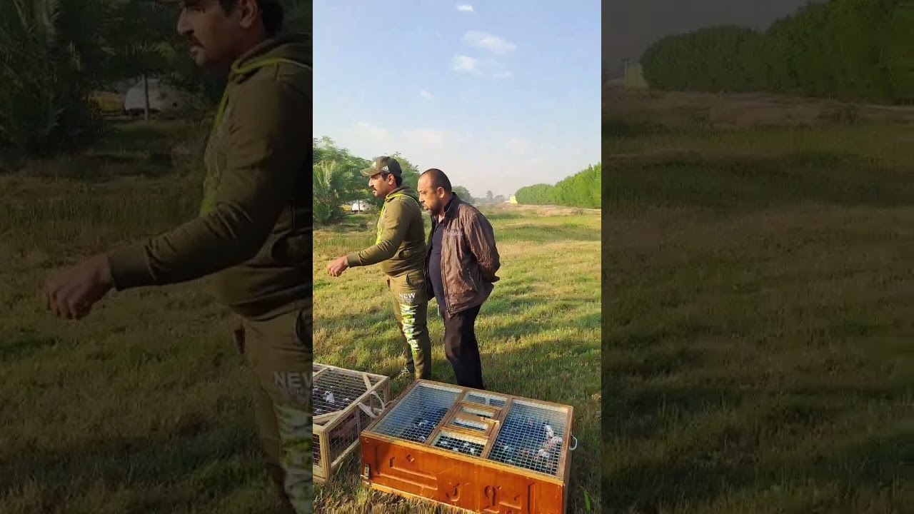 فكة مطار بغداد بين الكابتن عقيل ابو الهوش والكابتن ابو رضا الطيور انجعصت فكو عليها طيور