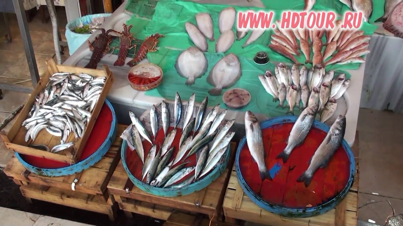 Turkey #2. Istanbul. Fish market Video tour.