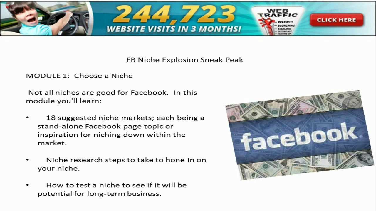 Fb niche explosion Review FB niche explosion