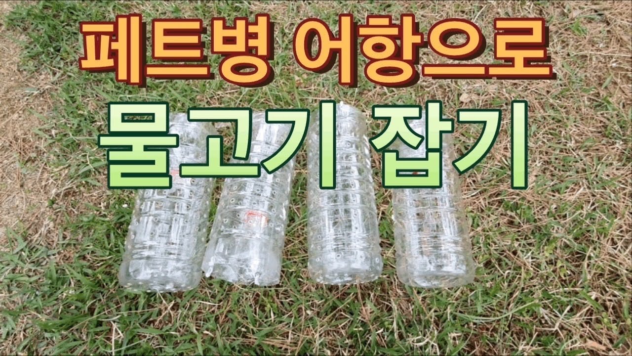 쉽게 물고기 잡기 페트병 어항 물고기 잡기 여름 계곡에서 한번 사용해보세요 fish trap with plastic bottle