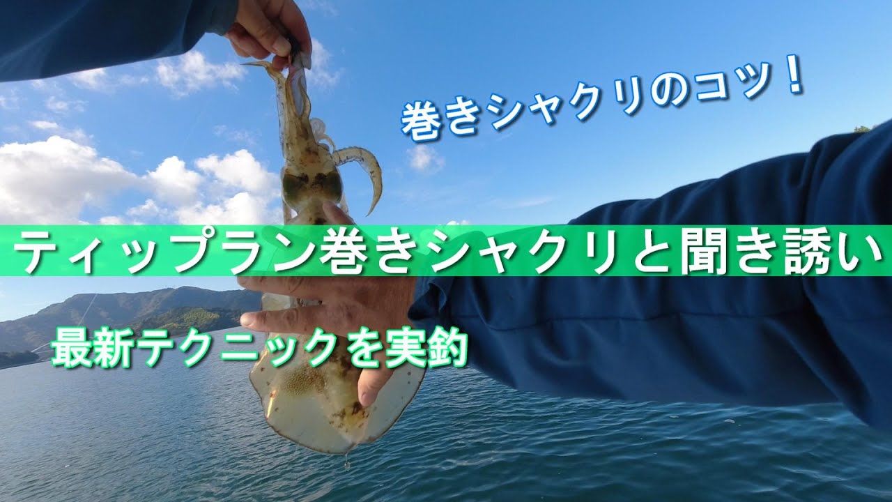ティップラン巻きシャクリと聞き誘い