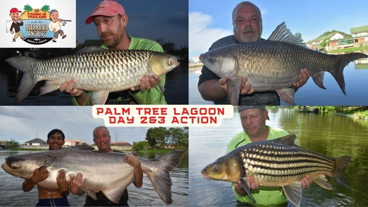 Fishing In Thailand - The Overrated Anglers - Plam Tree Lagoon 18th & 19th June 022 Part 2