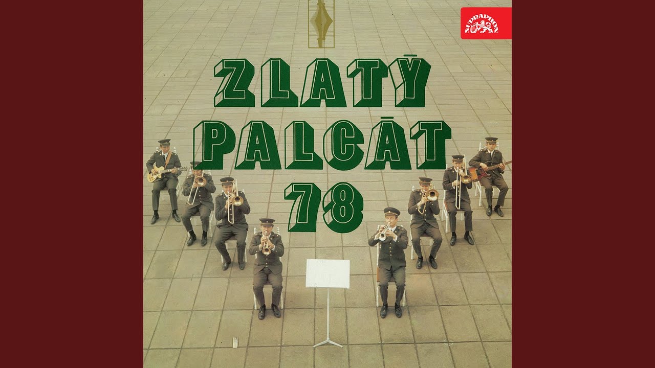 Mít kluka od ženistů