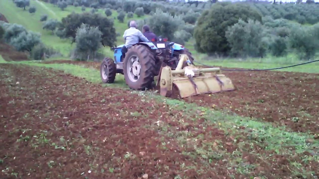 Sinos LANDINI REX 80