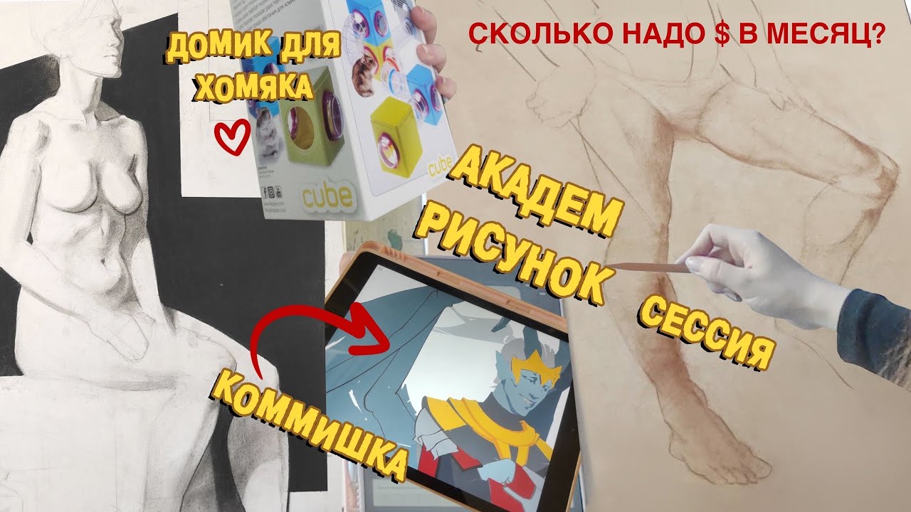сколько надо ₽ на обучение в ХУД.ВУЗЕ? СПбГУПТД ~ влог/общага/ новые штучки для хомячка!